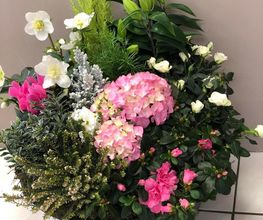 Amicie Fleurs image 2