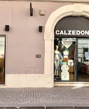 Calzedonia immagine 1