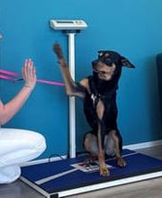 Tierarztpraxis Ergolz Bild 4