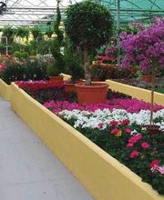 Fantastic Gardens imagen 19