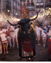Pirotecnia Fiesta imagen 15