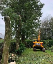 ADH Services TP image 14