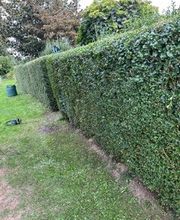 Haus-Garten-Service Bild 14