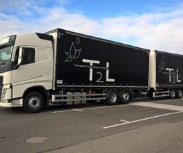 T2l image 4
