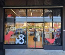 Tom&Co Dourdan image 3