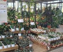 JARDILAND image 2