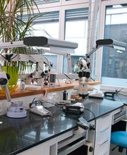 Michael Müller Zahntechnik GmbH Bild 2