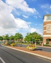 Rack Room Shoes image 1
