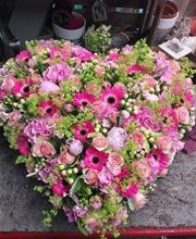 Blumen Dahlmann Bild 3