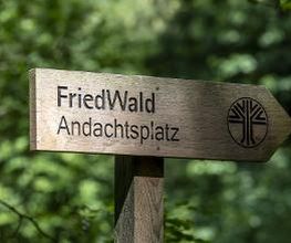 FriedWald Oberau Bild 9
