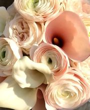 Guyard Benoît image 7