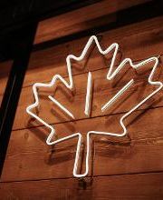 Frittenwerk Essen Hbf Bild 10