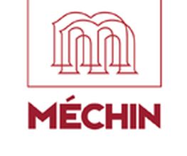 Mechin SARL image 2
