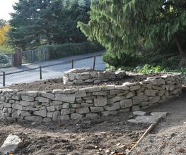 Pflanzen und Gartengestaltung Nienhaus Bild 3