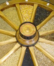 Mühle Bachmann AG Bild 5