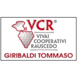 Giribaldi Tommaso e Pietro logo