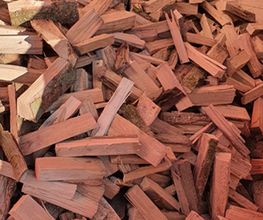 Holzbär Keller Brennholz Bild 2