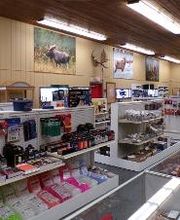 Gun World image 4
