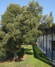 Ducom Frères (ETS) image 4