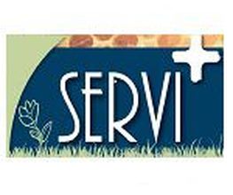Servi +Lis Jerome image 7