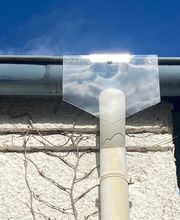 Kreienbühl - Schädlingsbekämpfung Bild 4