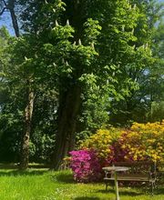Neue Wege Hypnose-Therapie-Entspannung Bild 5