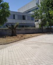 jardinero_granada.jpg