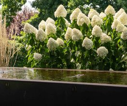WohnraumGarten Bild 10