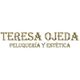 teresa-ojeda-logo.jpg