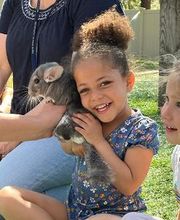 The Children's Center of New Milford, Inc image 12