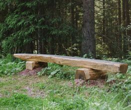 Bänke an den Waldwegen laden zum Verweilen im FriedWald Friedenweiler ein.