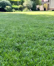 Gartenservice Mark Miess Bild 15