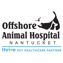 Offshore Animal Hospital
