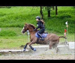 Centre Equestre de Mosnet image 8