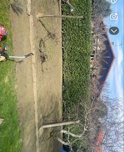 Philipot Sony image 3