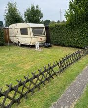 Gartenservice Hahn Bild 4