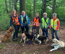 RolfsRudel Hundeschule / Rolf Matar Bild 2