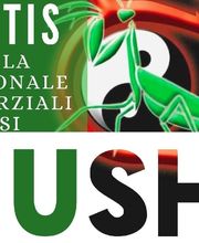 KMANTIS ASSOCIATION WUSHU ACADEMY - Roma immagine 10