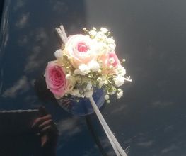 Il Etait Une Fleur image 11