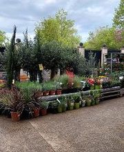 Bricorama Le Plessis Robinson image 6