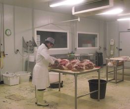 Cochon de Coat Ecuff EURL image 5