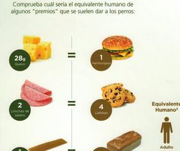 216171108-1-mn2LhZuAZS1764610892455.jpeg