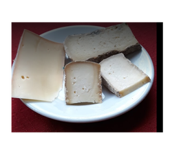 Gallery Cliente