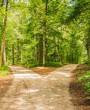 Praxis für Psychotherapie, Supervision & Coaching Bild 1