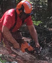 B Bois Forêts image 7