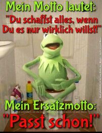 Abfluss-Schnelldienst