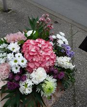 La Tulipe Noire image 20