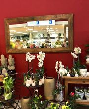 Blumen Interfleur Floristik & Wohnaccessoires Bild 2