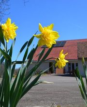 La Trottelée image 7