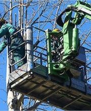 Marechal Elagage image 2